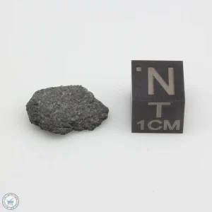NWA 12925 Meteorite 1.34g