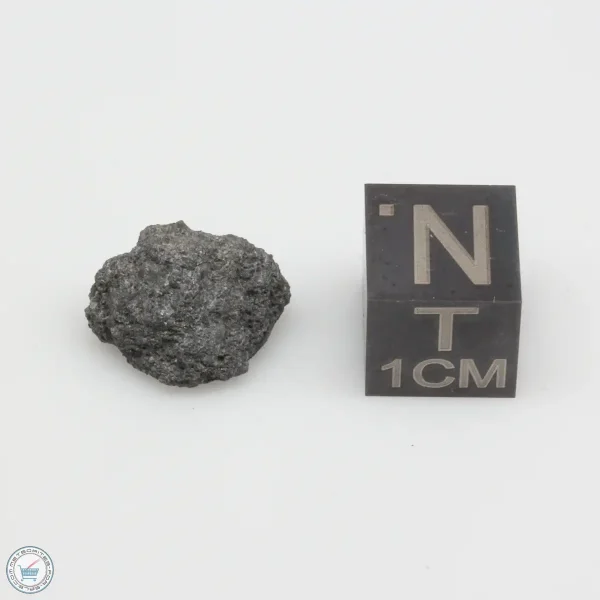 NWA 12925 Meteorite 1.41g
