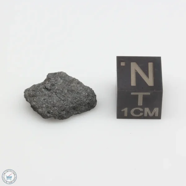 NWA 12925 Meteorite 1.56g