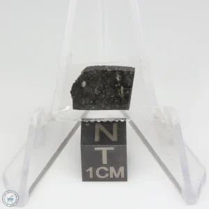 NWA 13951 Lunar Meteorite 0.79g