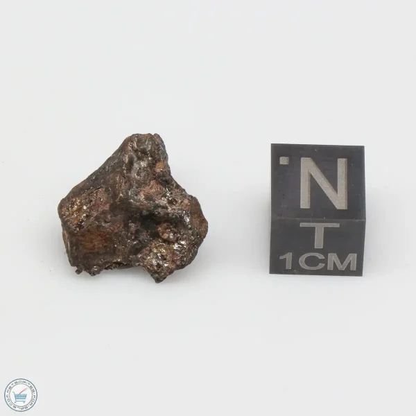 NWA 4482 Pallasite Meteorite 5.2g