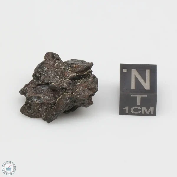 NWA 4482 Pallasite Meteorite 6.6g
