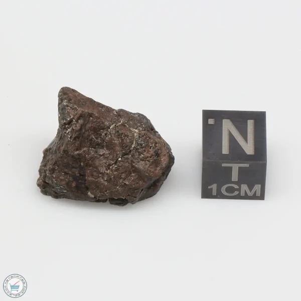 NWA 4482 Pallasite Meteorite 6.9g