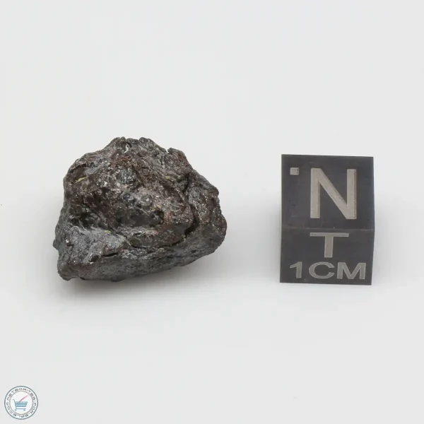 NWA 4482 Pallasite Meteorite 7.2g