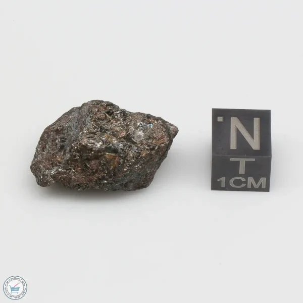 NWA 4482 Pallasite Meteorite 11.9g