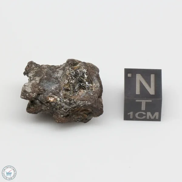 NWA 4482 Pallasite Meteorite 13.3g
