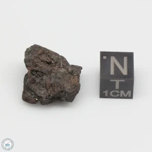 NWA 4482 Pallasite Meteorite 5.4g