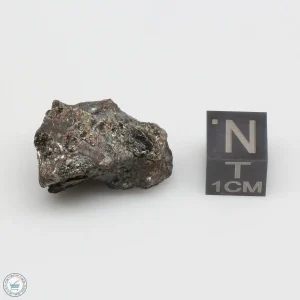 NWA 4482 Pallasite Meteorite 12.1g
