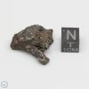 NWA 4482 Pallasite Meteorite 11.6g