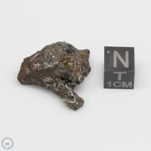 NWA 4482 Pallasite Meteorite 11.6g