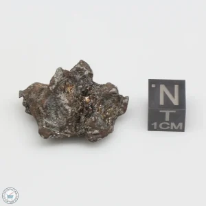 NWA 4482 Pallasite Meteorite 16.1g