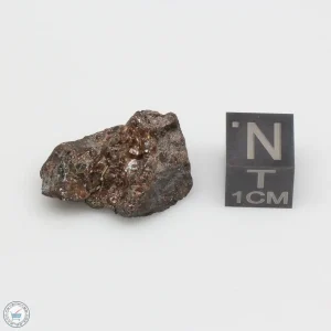 NWA 4482 Pallasite Meteorite 4.9g