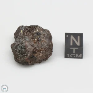 NWA 4482 Pallasite Meteorite 15.3g