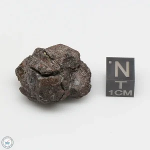 NWA 4482 Pallasite Meteorite 15.0g