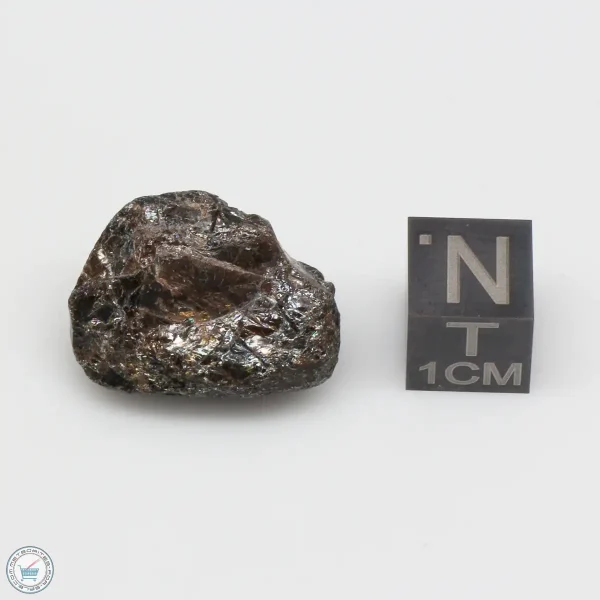 NWA 4482 Pallasite Meteorite 5.8g