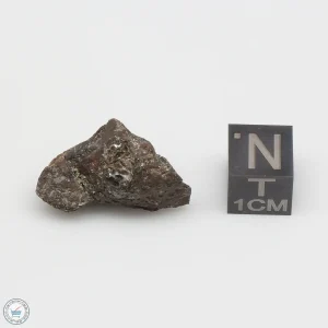 NWA 4482 Pallasite Meteorite 8.1g