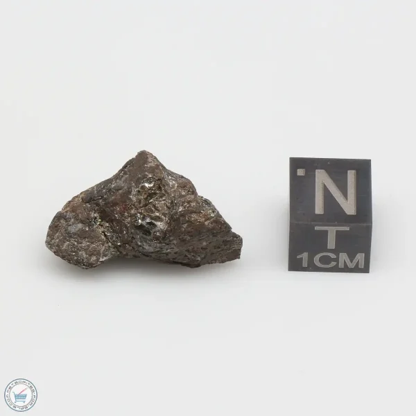 NWA 4482 Pallasite Meteorite 8.1g