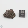 NWA 4482 Pallasite Meteorite 8.9g