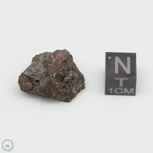 NWA 4482 Pallasite Meteorite 8.9g