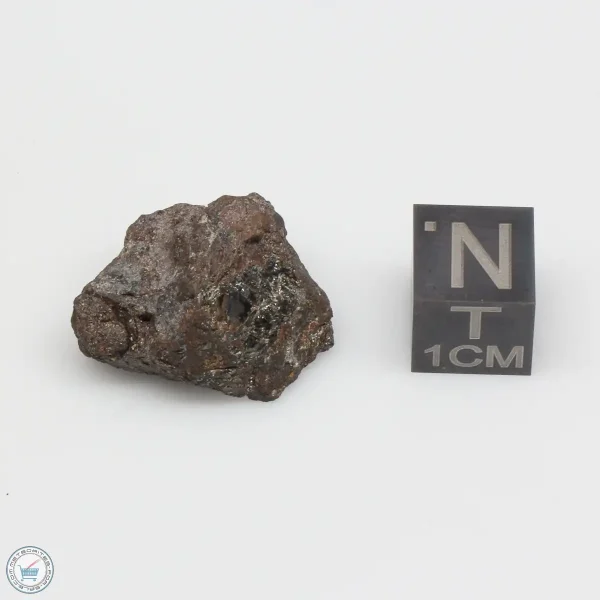 NWA 4482 Pallasite Meteorite 8.9g