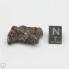 NWA 4482 Pallasite Meteorite 11.6g