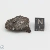 NWA 4482 Pallasite Meteorite 14.5g
