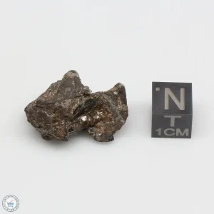 NWA 4482 Pallasite Meteorite 12.1g