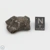 NWA 4482 Pallasite Meteorite 14.3g