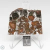 Brahin Pallasite Meteorite 19.4g