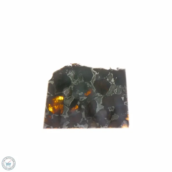 Brahin Pallasite Meteorite 19.4g