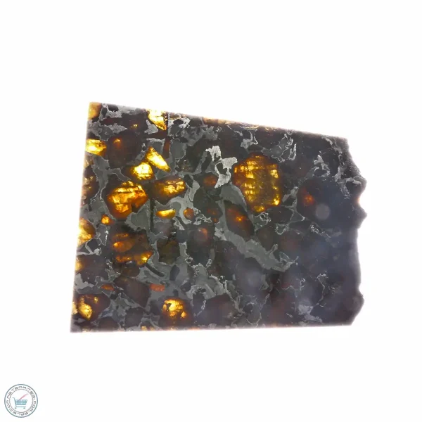 Brahin Pallasite Meteorite 33.6g
