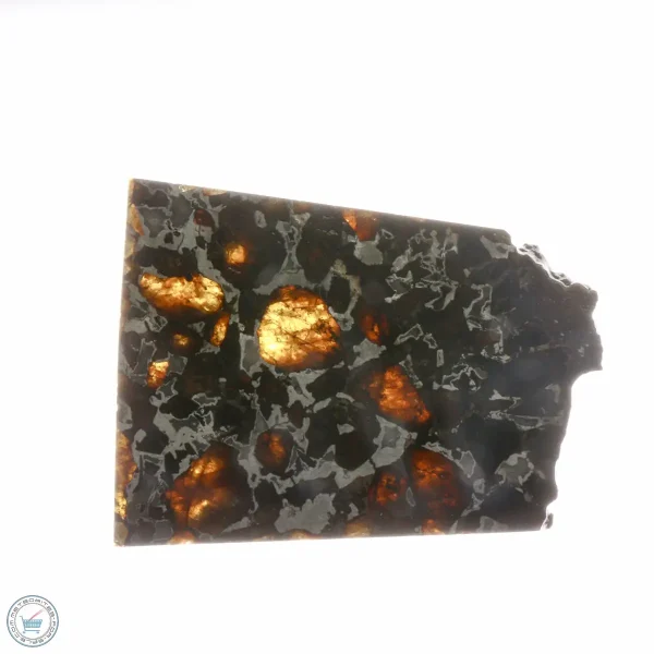Brahin Pallasite Meteorite 34.8g