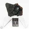 Canyon Diablo Graphite Nodule 6.3g