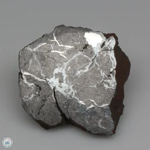 Canyon Diablo Graphite Nodule 21.0g End Cut