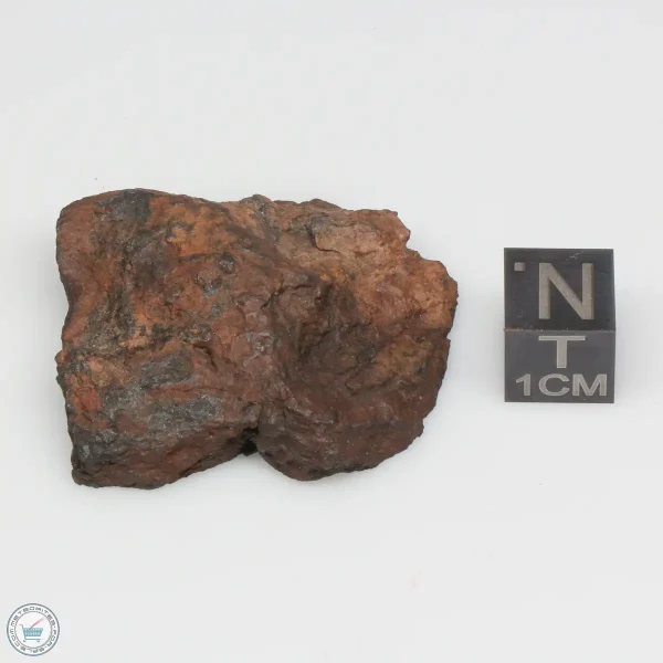 Canyon Diablo Graphite Nodule 21.0g End Cut