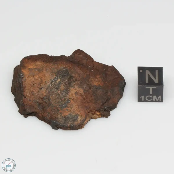 Canyon Diablo Graphite Nodule 25.2g End Cut