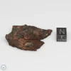 Canyon Diablo Graphite Nodule 20.9g End Cut