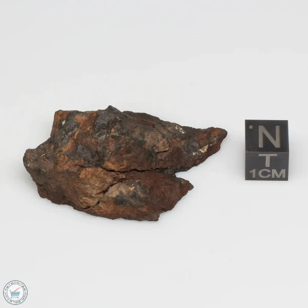 Canyon Diablo Graphite Nodule 20.9g End Cut