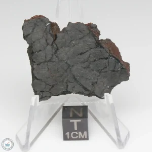 Canyon Diablo Graphite Nodule 9.5g Slice