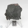 Canyon Diablo Graphite Nodule 14.1g Slice