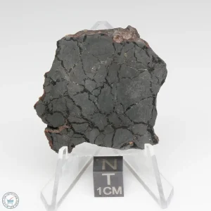Canyon Diablo Graphite Nodule 14.1g Slice