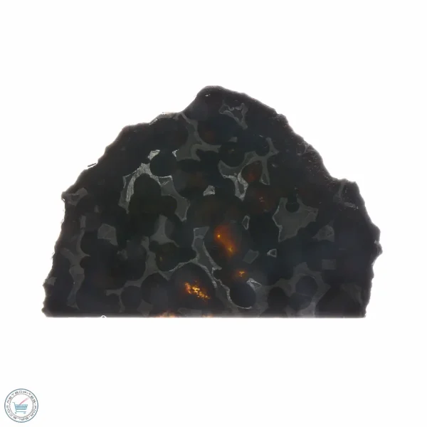 Sericho Pallasite Meteorite 24.0g