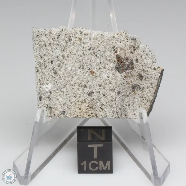NWA 2060 Howardite Meteorite 5.1g