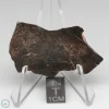 NWA 400 Meteorite 11.1g