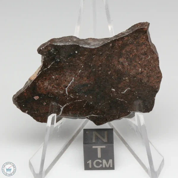NWA 400 Meteorite 12.6g