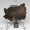 NWA 400 Meteorite 14.2g