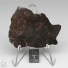 NWA 400 Meteorite 20.4g