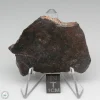 NWA 400 Meteorite 21.0g