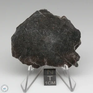 NWA 400 Meteorite 18.9g