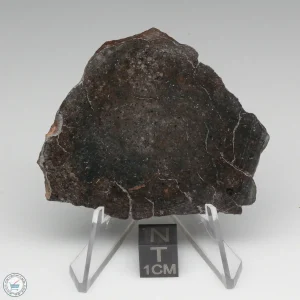 NWA 400 Meteorite 22.9g